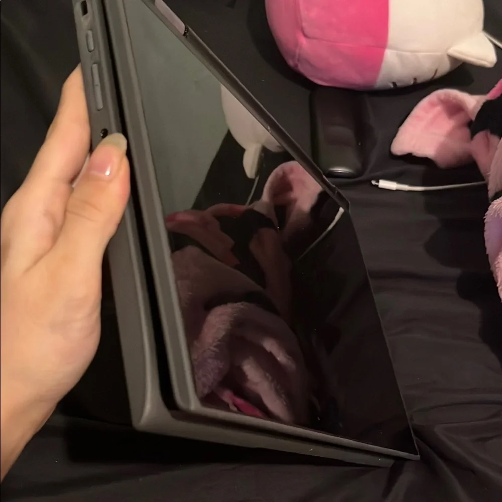 Lenovo Touchscreen Chromebook with Red and Green Floral Accents